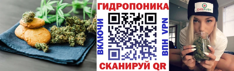 как найти наркотики  Городец  Cannafood марихуана 