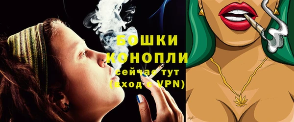 PSILOCYBIN Горно-Алтайск