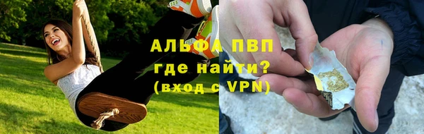 PSILOCYBIN Горно-Алтайск