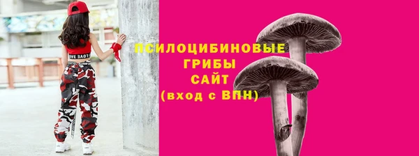 прущие грибы Переславль-Залесский