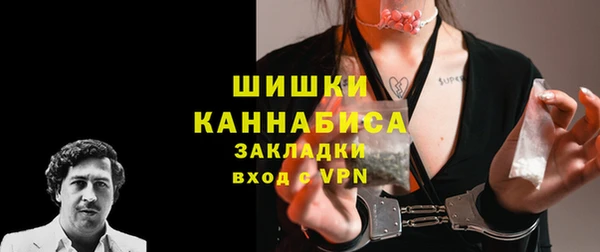 PSILOCYBIN Горно-Алтайск