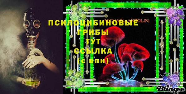 экстази Горняк