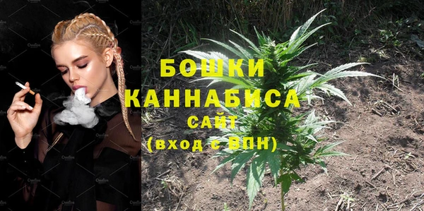 PSILOCYBIN Горно-Алтайск