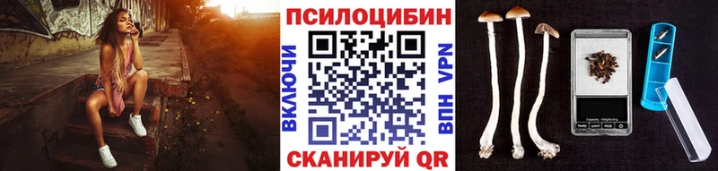 Галлюциногенные грибы Psilocybe  где купить   Городец 