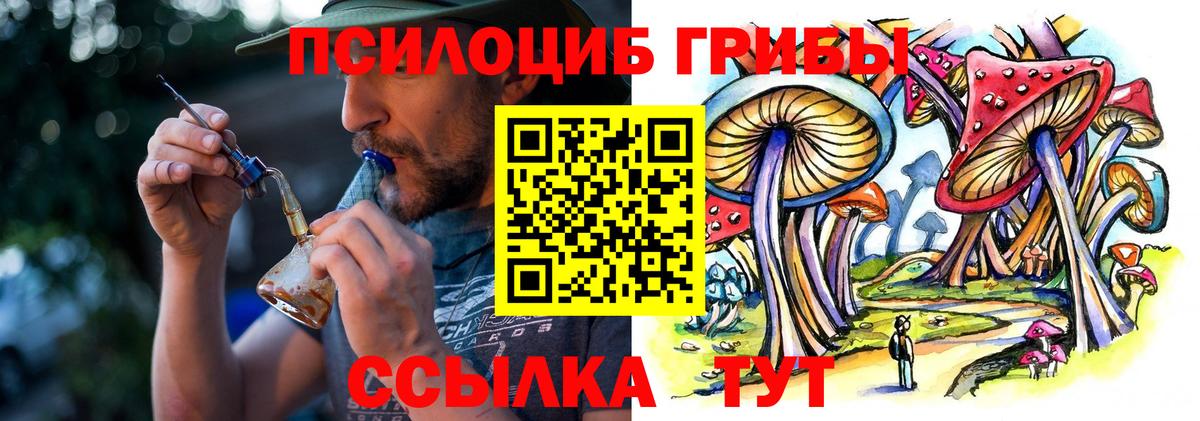 Псилоцибиновые грибы GOLDEN TEACHER Городец